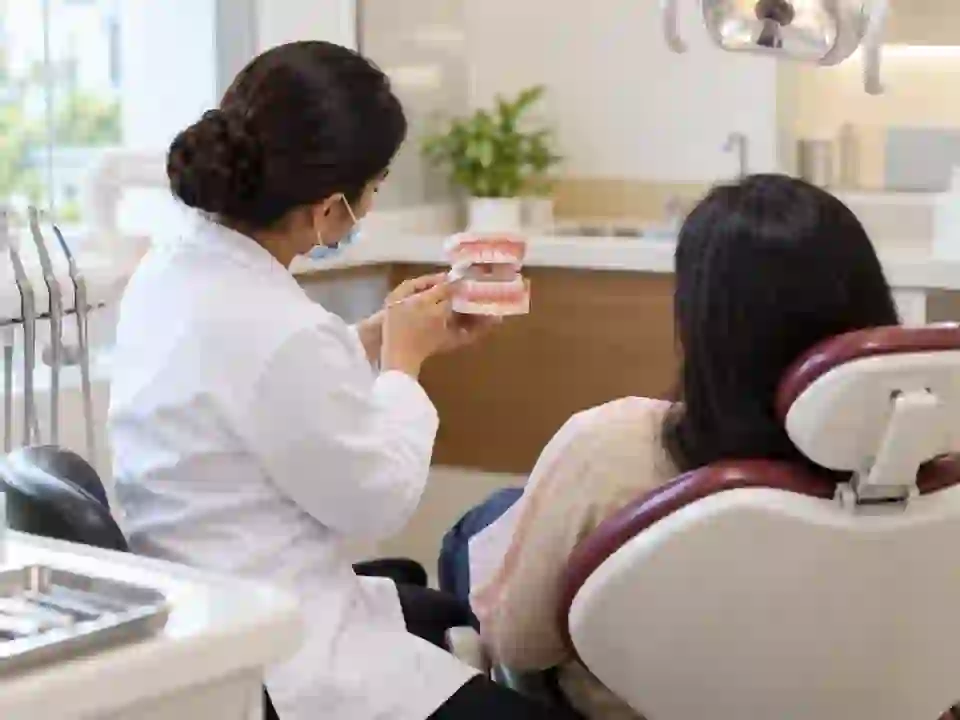 Dentist discussing a tooth model during a consultation