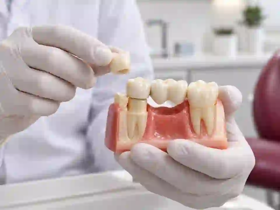 Gloved hands holding a tooth model in a treatment room